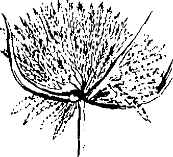110/110230010602910_1.png