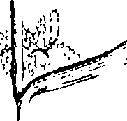 110/110230010602920_0.png