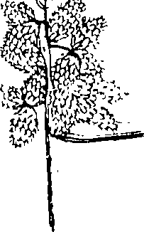 110/110230010602920_1.png