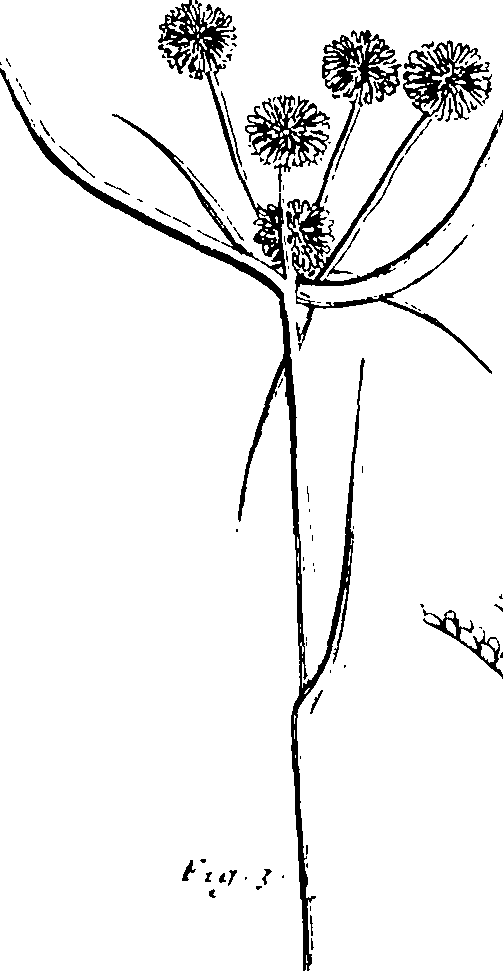 110/110230010602920_2.png