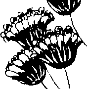 110/110230010602970_0.png