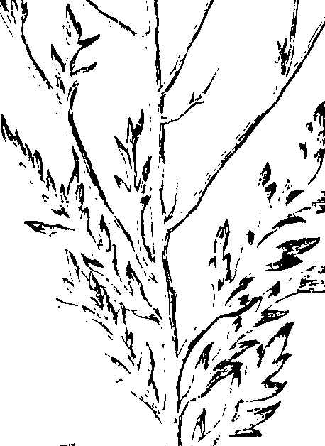 110/110230010602970_1.png