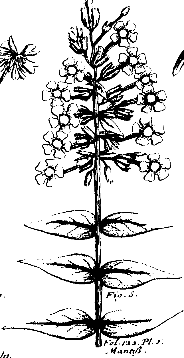110/110230010603000_0.png
