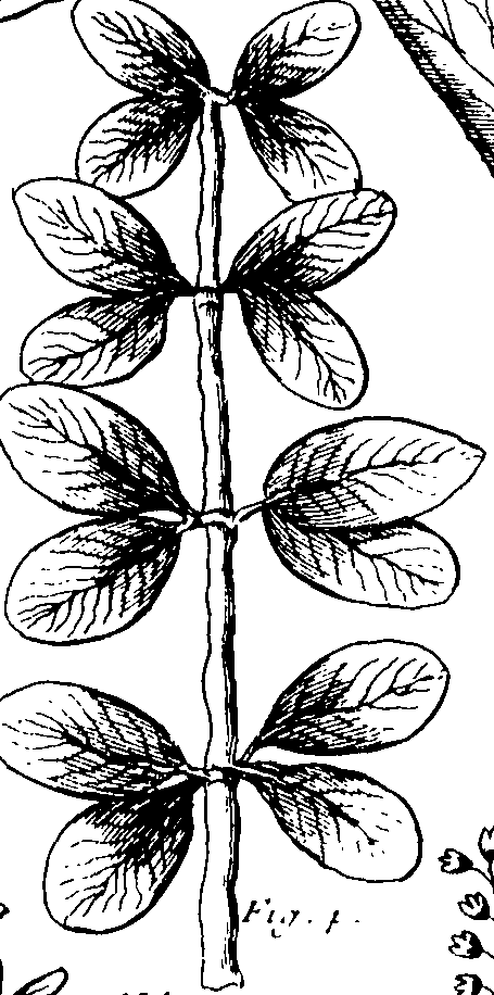 110/110230010603040_1.png