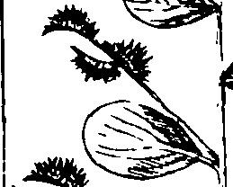 110/110230010603080_1.png