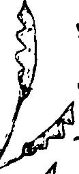 110/110230010603080_2.png