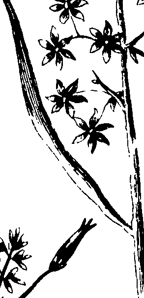 110/110230010603090_0.png