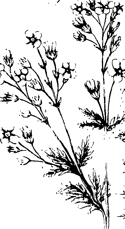 110/110230010603100_0.png