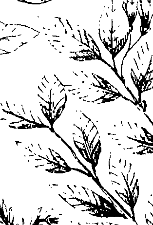 110/110230010603100_1.png