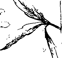 110/110230010603100_2.png