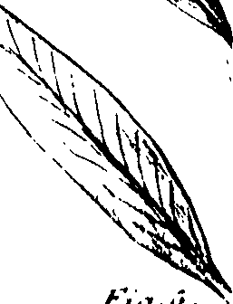 110/110230010603110_1.png