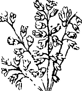 110/110230010603110_2.png
