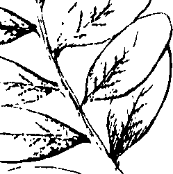 110/110230010603120_1.png