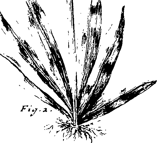 110/110230010603120_3.png