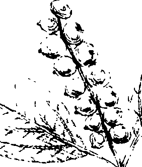 110/110230010603120_4.png