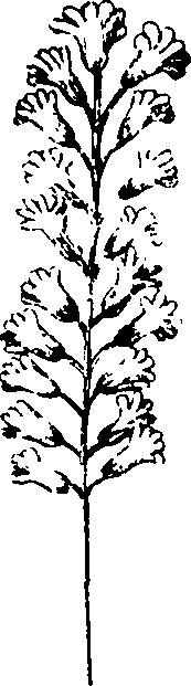 110/110230010603120_5.png