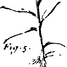 110/110230010603130_0.png