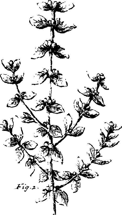 110/110230010603140_1.png
