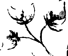 110/110230010603140_2.png