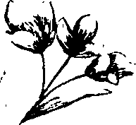 110/110230010603140_3.png