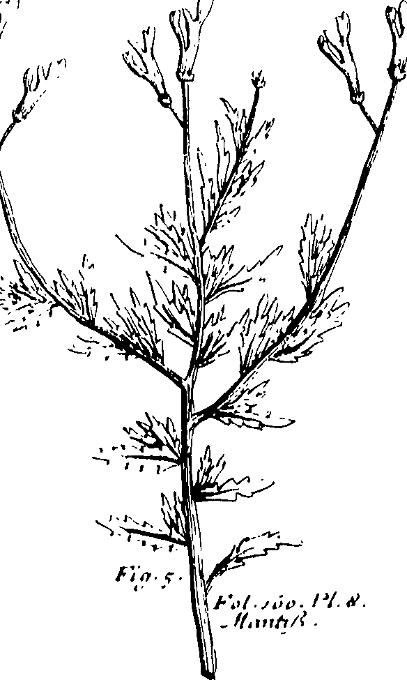 110/110230010603150_0.png
