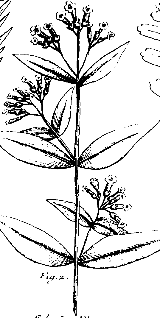 110/110230010603150_1.png