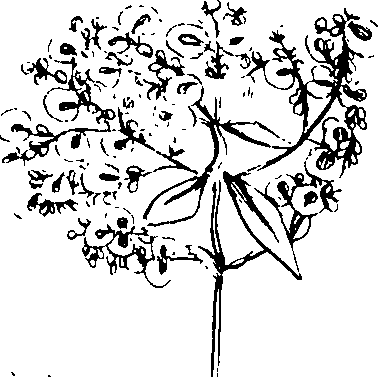 110/110230010603180_2.png