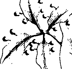 110/110230010603190_0.png