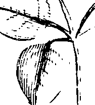 110/110230010603190_1.png