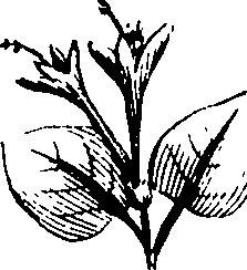 110/110230010603190_2.png