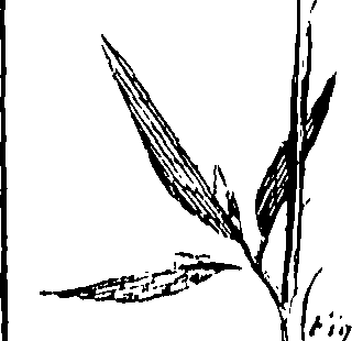 110/110230010603220_1.png