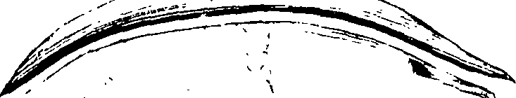 110/110230010603220_2.png
