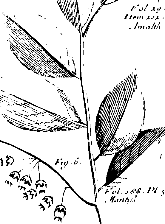 110/110230010603230_0.png