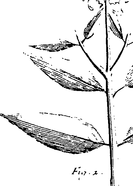 110/110230010603230_1.png