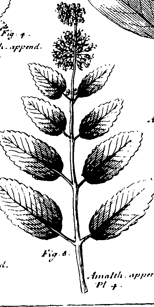 110/110230010603250_0.png
