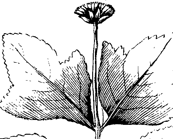 110/110230010603250_1.png