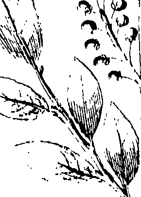 110/110230010603270_0.png