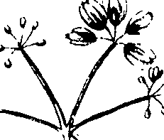 110/110230010603270_3.png