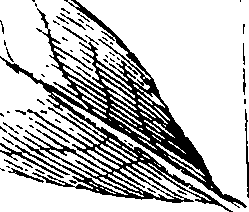 110/110230010603270_4.png