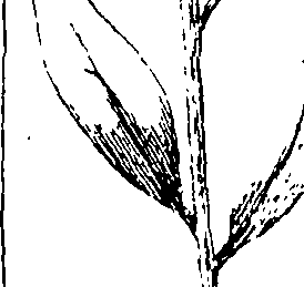 110/110230010603280_0.png