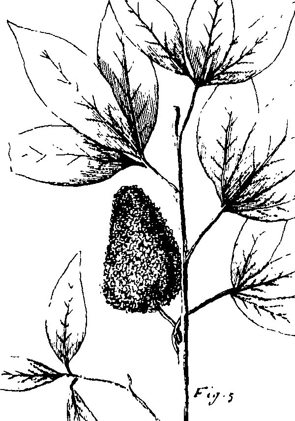 110/110230010603280_1.png