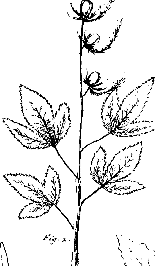 110/110230010603280_3.png