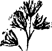 110/110230010603290_1.png