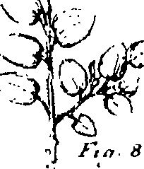 110/110230010603290_2.png