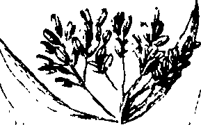 110/110230010603290_4.png