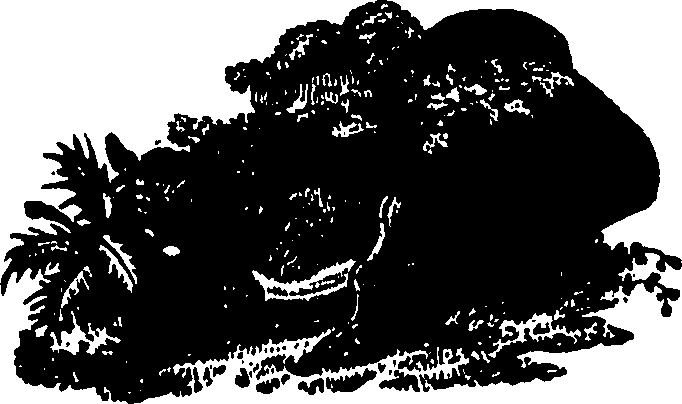 110/110230050000050_0.png