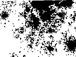 110/110230050000200_0.png