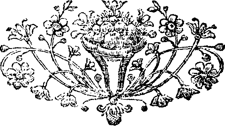 110/110270040000970_0.png