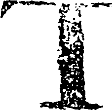 110/110320010006480_0.png