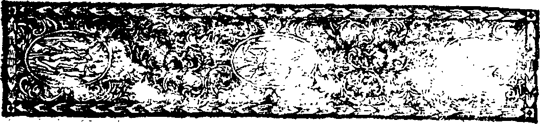 110/110340270000950_1.png